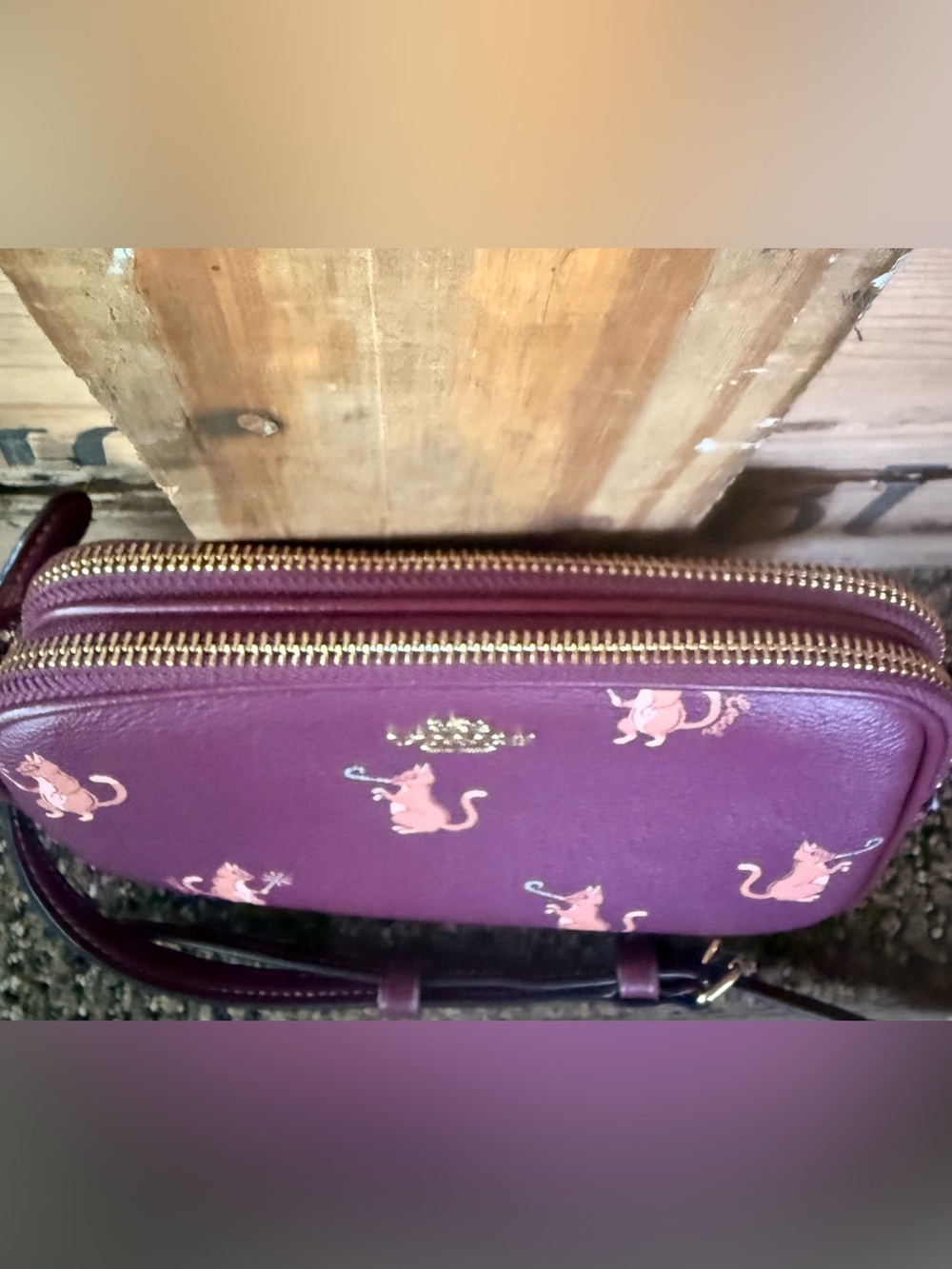 Coach Party Cat Crossbody Pouch - Picture 5 of 10